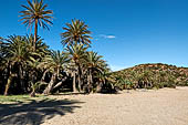 The famous palm beach at Vai, Eastern Crete